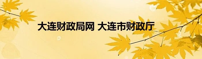 大连财政局网 大连市财政厅