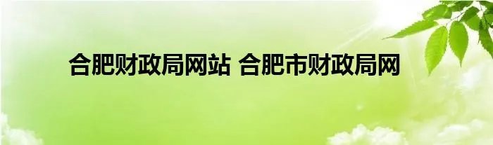 合肥财政局网站 合肥市财政局网
