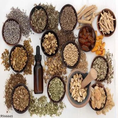 补肾酒的中药配方大全 补肾效果非常好