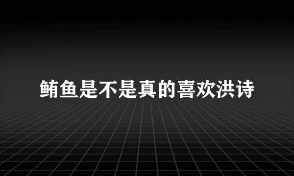鲔鱼是不是真的喜欢洪诗
