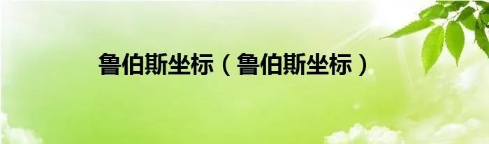 鲁伯斯坐标（鲁伯斯坐标）