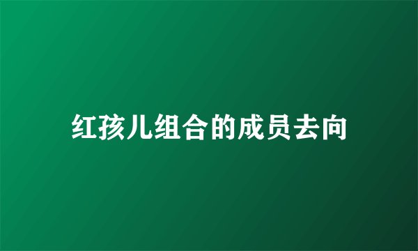 红孩儿组合的成员去向