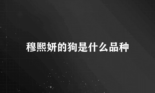 穆熙妍的狗是什么品种