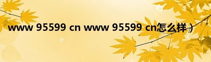 www 95599 cn www 95599 cn怎么样）