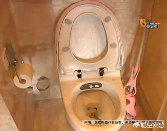 北京女演员将杭州豪宅出租，回杭后发现4万元的床被尿成了“地图”，这事你怎么看？