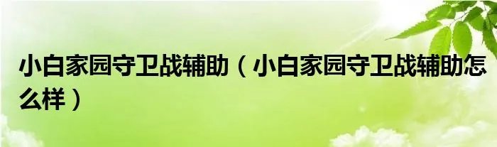 小白家园守卫战辅助（小白家园守卫战辅助怎么样）