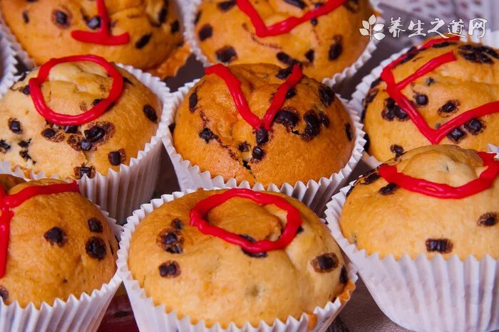 吉娃娃吃什么狗粮好呢