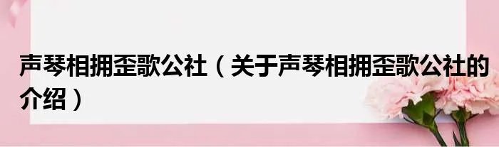 声琴相拥歪歌公社(关于声琴相拥歪歌公社的介绍)