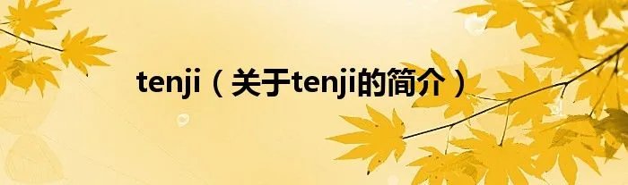 tenji（关于tenji的简介）