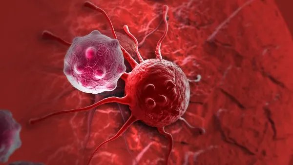 沈阳一批圣女果内外包装阳性 新冠病毒会通过食物传播吗?