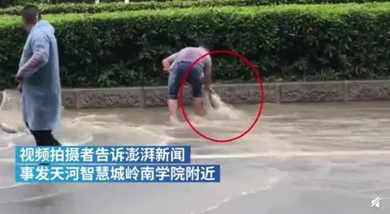 广州雨后路人当街捕鱼 现场画面曝光看到鱼后网友惊呆了