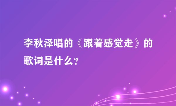 李秋泽唱的《跟着感觉走》的歌词是什么？