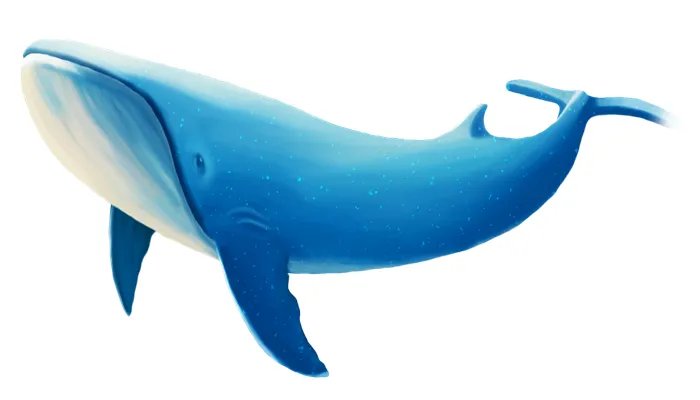 海马和鲸鱼哪个属于真正的鱼