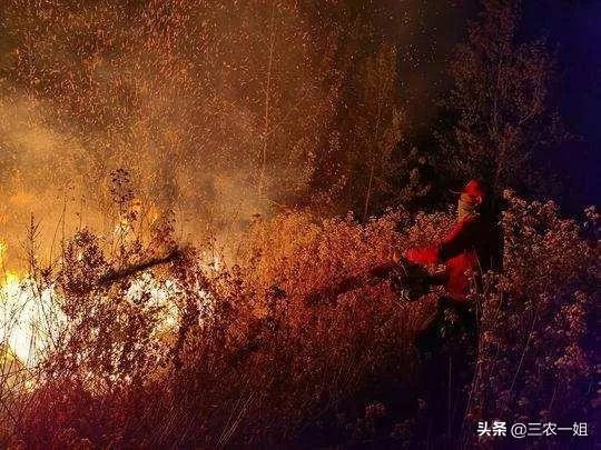 西昌山火为什么会死这么多人?
