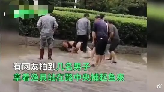 广州雨后路人当街捕鱼 现场画面曝光看到鱼后网友惊呆了