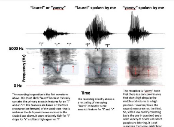Yanny还是Laurel是什么梗?