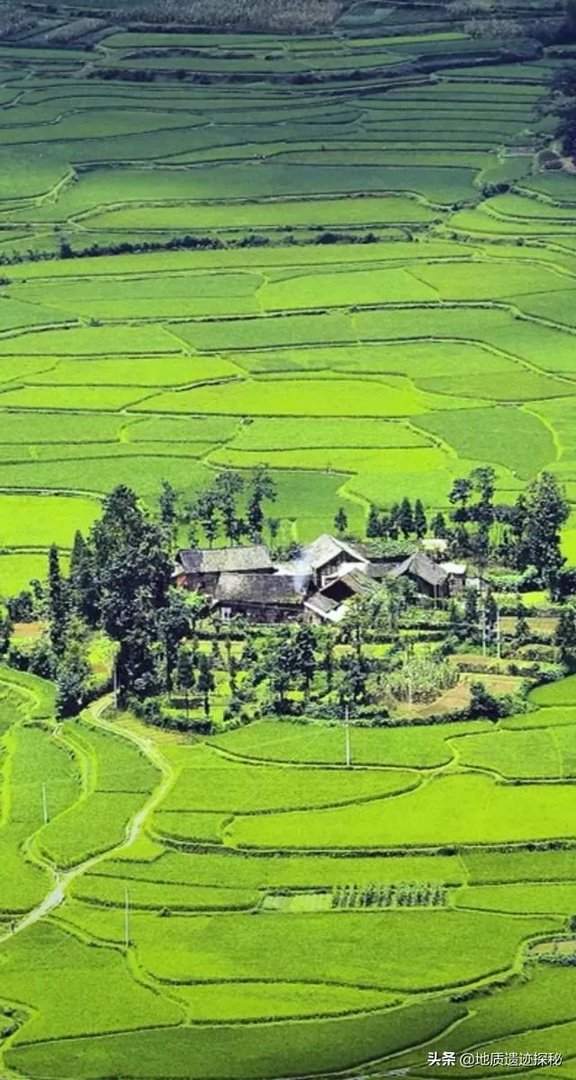 有亲历过98年九江洪水的人吗?