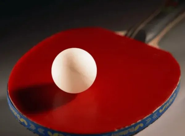 乒乓球世界排名