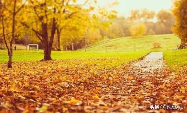 善意的谎言的好处？