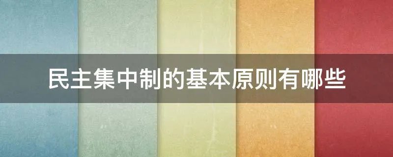 民主集中制的基本原则有哪些