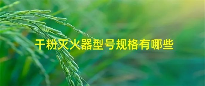 干粉灭火器型号规格有哪些