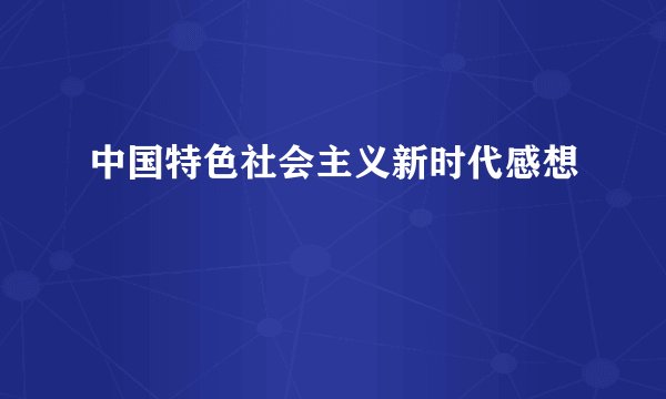 中国特色社会主义新时代感想