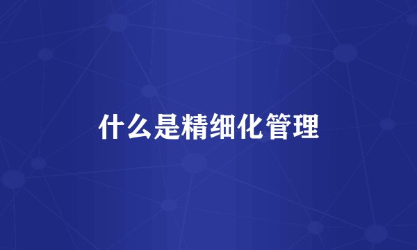 什么是精细化管理