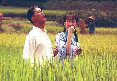 有哪些名气不大但是很好看的电视剧？