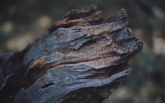 发财路是想出来吗？