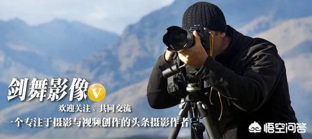 佳能100-400mm镜头的画质怎么样？