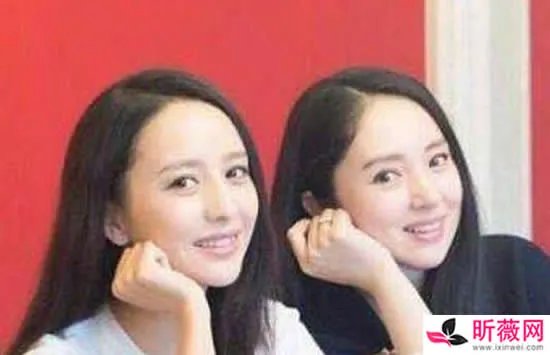 董璇和佟丽娅长得很像 董璇和佟丽娅私下是什么关系