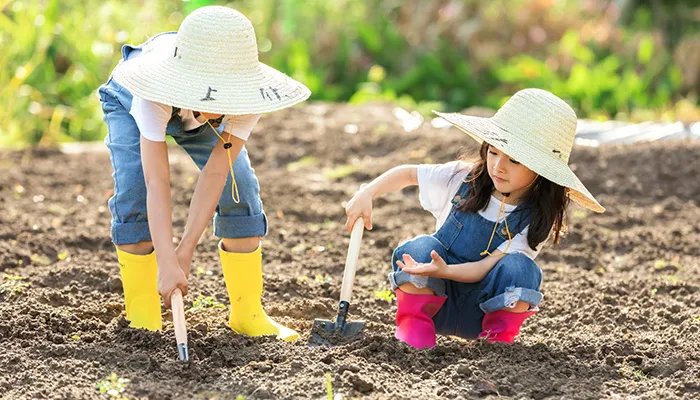 何姓宝宝起名字大全 何姓宝宝好听的名字