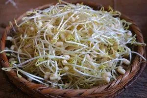 做法，凉拌豆芽菜怎么做好吃，凉拌豆芽菜的家常做法