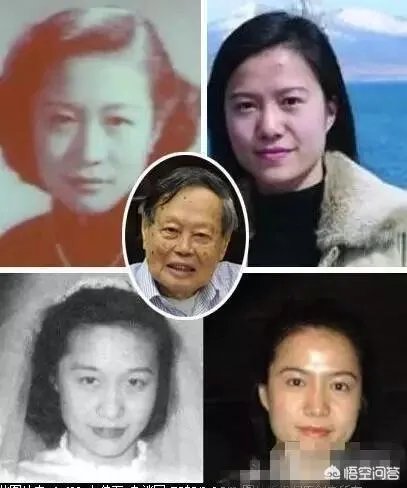 翁帆为何会嫁给杨振宁？