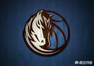 如何评价达拉斯独行侠队现在的阵容？