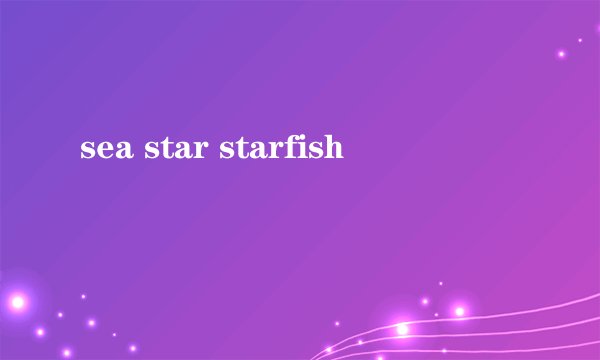 sea star starfish