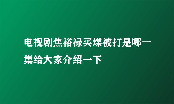 电视剧焦裕禄买煤被打是哪一集给大家介绍一下