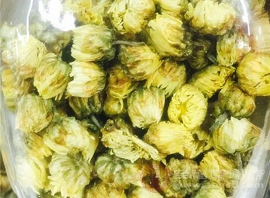 野菊花的功效与作用