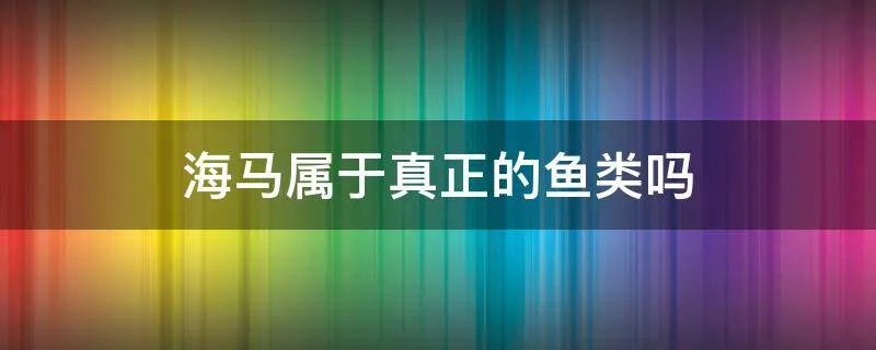 海马属于真正的鱼类吗