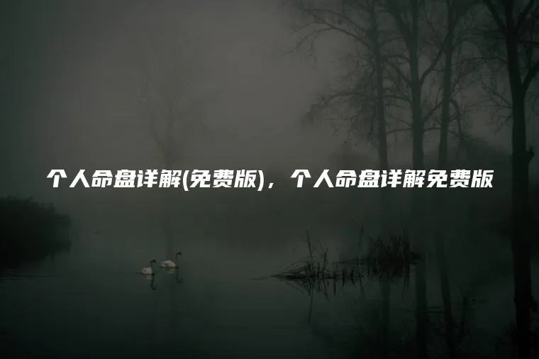 个人命盘详解(免费版)，个人命盘详解免费版
