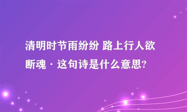 清明时节雨纷纷 路上行人欲断魂·这句诗是什么意思?