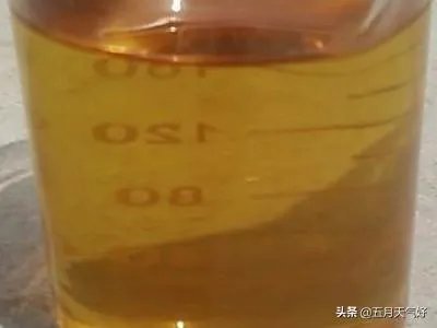 长期保存菌种的方法？