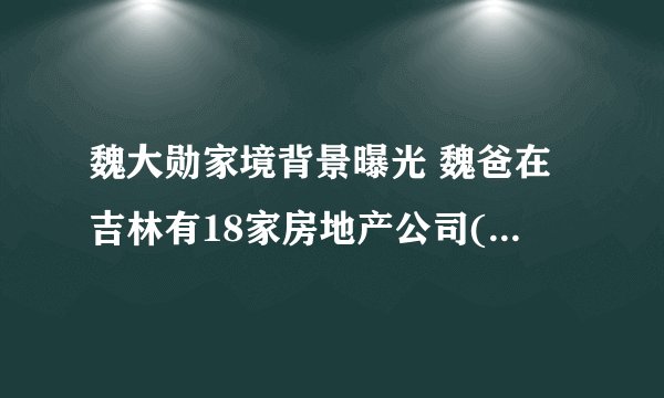 魏大勋家境背景曝光 魏爸在吉林有18家房地产公司(资产过亿)