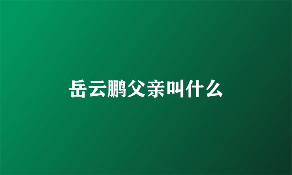 岳云鹏父亲叫什么