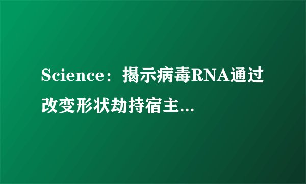 Science：揭示病毒RNA通过改变形状劫持宿主细胞机制