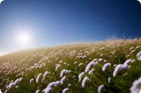 萌少女的恋爱时光