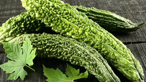 孕妇能吃苦瓜吗