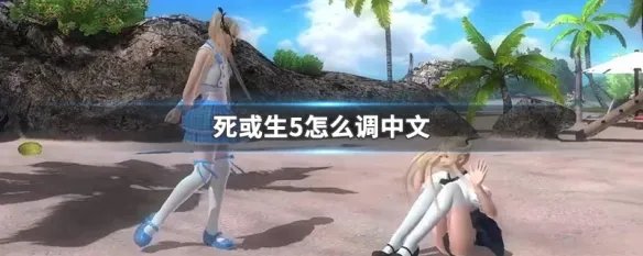 死或生5怎么调中文