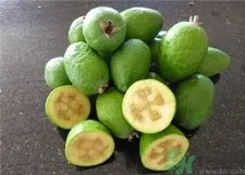 斐济果的营养价值 斐济果的功效