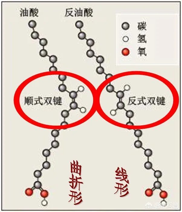 什么是人造反式脂肪？